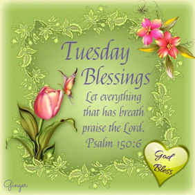 Beautiful Day Quotes